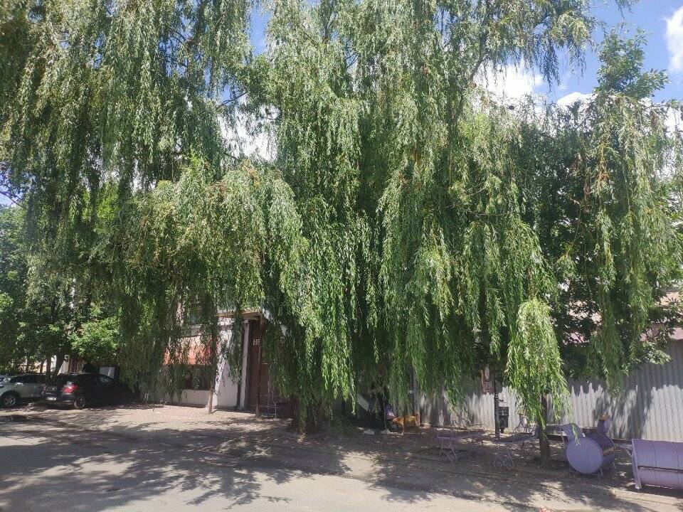 Фото Гостиницы Дизайн - Отель Ставрополь 77